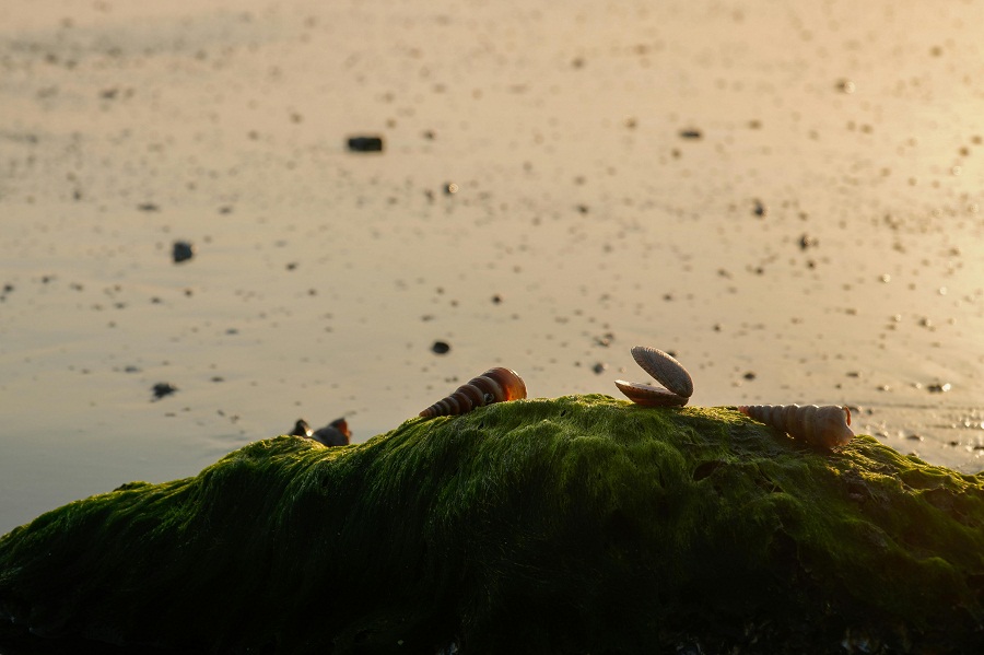 প্রতীকী ছবি