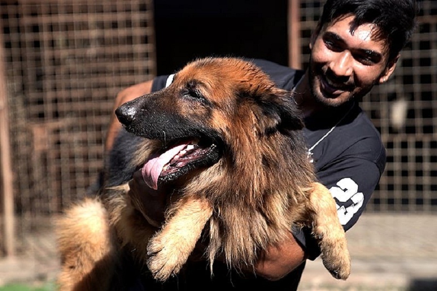 জার্মান শেফার্ডের সাথে খামারের উদ্যোক্তা রিয়াদ মাহমুদের ছেলে ইল্লিন মাহমুদ আরিয়ান