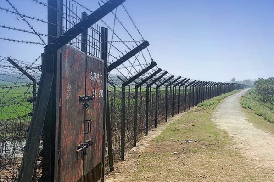 ফাইল ছবি।